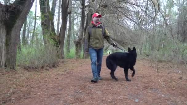 Alman Çoban Köpeği Sahibi Parkta Yürür — Stok video