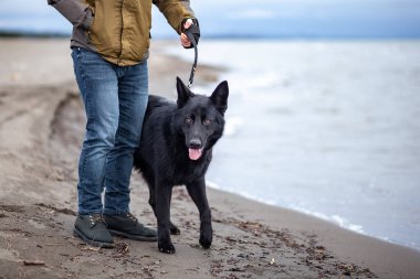 Alman çoban köpeği ve sahibi Karadeniz, Poti, Gürcistan kıyılarında yürürler.