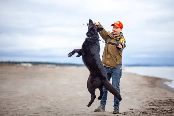 Mann Trainiert Schäferhund Sandstrand Der Schwarzmeerküste Poti Georgien — Stockfoto