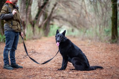 Siyah Alman çoban köpeği ve sahibinin parkta portresi.