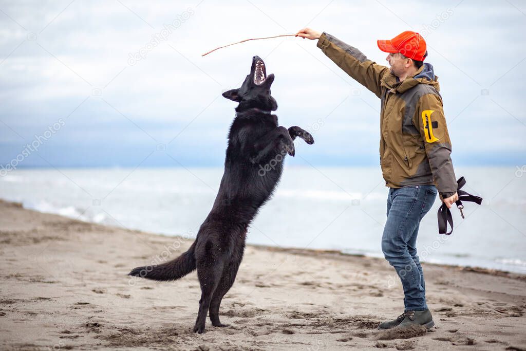 Man trains German shepherd on sandy beach of Black Sea coast, Poti, Georgia