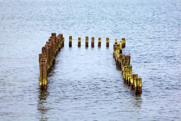 Landscape Sea Iron Breakwater Black Sea Poti Georgia Seascape Stock Image