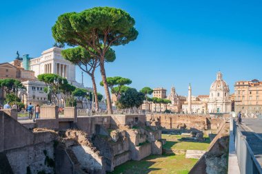 Roma, İtalya - 27 Ekim 2019: Trajan 'ın köşe yazısı ve Bazilika Ulpia ile Trajan' ın Forumu. Roma. Seyahat