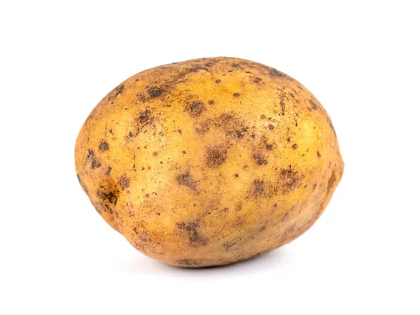 Vuile Aardappel Geïsoleerd Witte Achtergrond Verse Groenten — Stockfoto