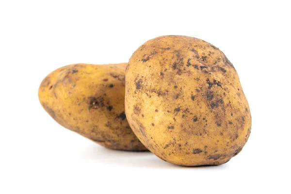 Two Dirty Potatoes Isolated White Background Fresh Vegetable — Stock Photo, Image