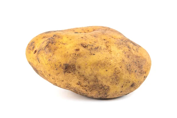 Брудна Картопля Ізольована Білому Тлі Свіжий Овоч — стокове фото