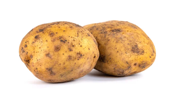 Дві Брудні Картоплі Ізольовані Білому Тлі Свіжий Овоч — стокове фото