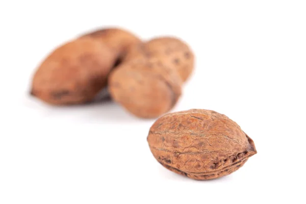 Nueces Silvestres Aisladas Sobre Fondo Blanco Comida —  Fotos de Stock