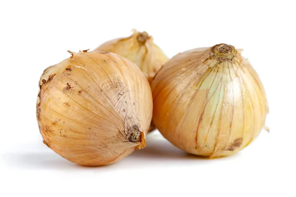 Bombillas Cebolla Fresca Aisladas Sobre Fondo Blanco Vegetales — Foto de Stock