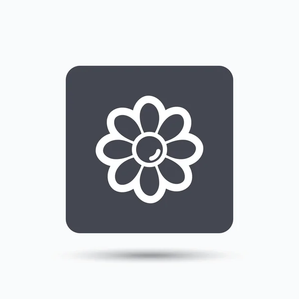 Bloem pictogram. Bloemist plant met bloemblaadjes teken. — Stockvector