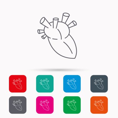 Kalp simgesi. İnsan organ işareti. Nakli.