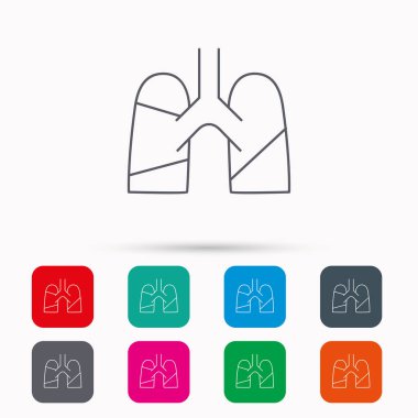 Akciğerler simgesi. Nakli organ işareti.