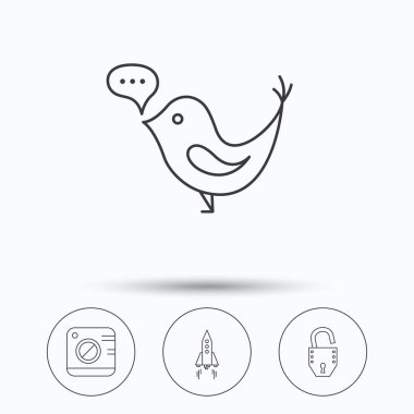 Fotoğraf, sosyal medya ve roket simgeler.