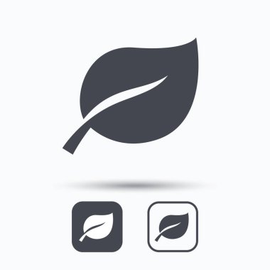 Yaprak simgesi. Taze organik ürün işareti.