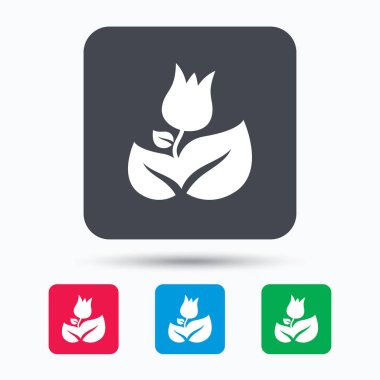 Gül çiçek simgesi. Çiçekçi bitki yaprağı işareti ile.