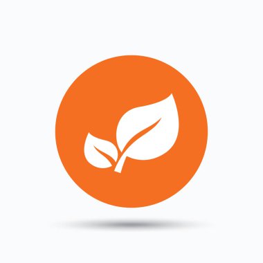 Yaprak simgesi. Taze organik ürün işareti.