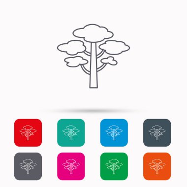 Çam ağacı simgesi. Orman ahşap işareti.