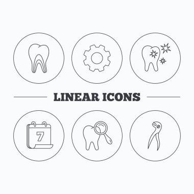 Sağlıklı dişler, dentinal tübüllerin ve pense simgeler.