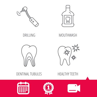 Diş, diş macunu ve dentinal tübüllerin simgeler.