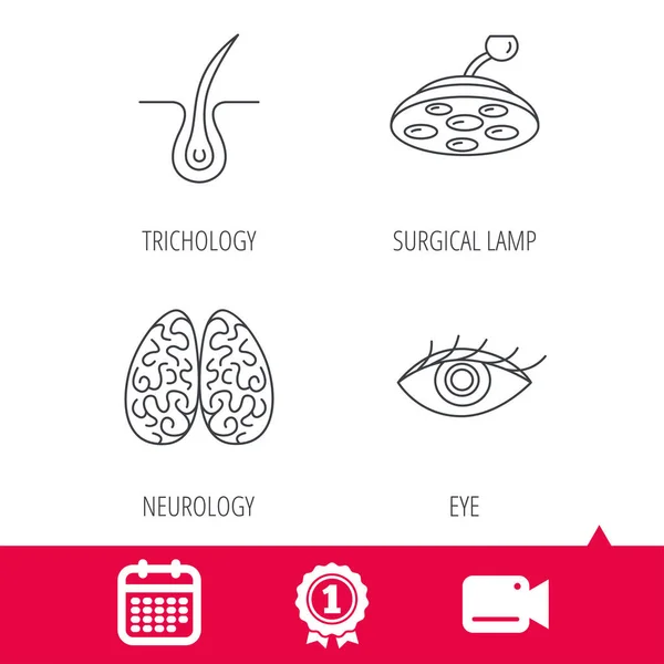 Eye, neurology brain and surgical lamp icons. — Stock Vector