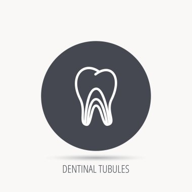 Dentinal tübüllerin simgesi. Diş tıp işareti.