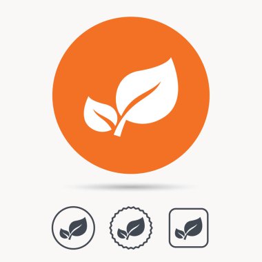 Yaprak simgesi. Taze organik ürün işareti.