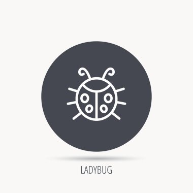 Uğur böceği simgesi. Uğur böceği böcek işareti.