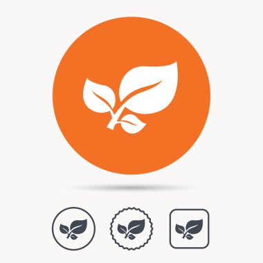 Yaprak simgesi. Taze organik ürün işareti.