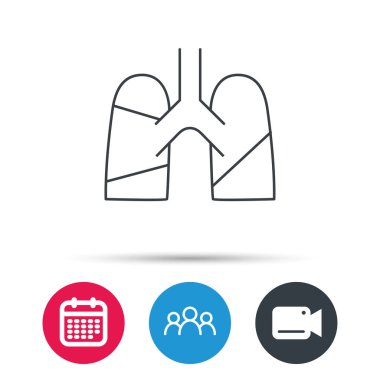 Akciğerler simgesi. Nakli organ işareti.