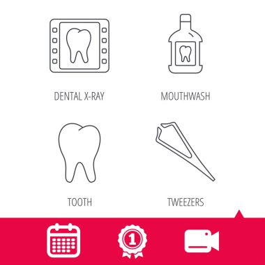 Diş macunu, diş ve diş röntgen simgeler.