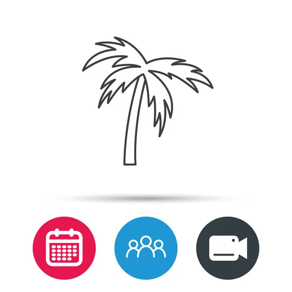 Palm tree icon. Travel or vacation symbol. — Stock Vector