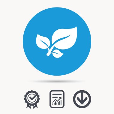 Yaprak simgesi. Taze organik ürün işareti.