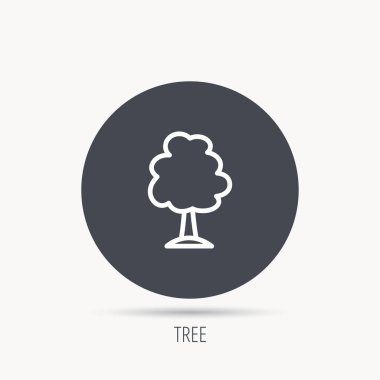 Ağaç simgesi. Orman ahşap işareti.