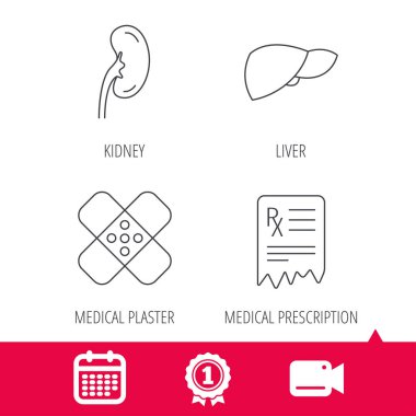 Karaciğer, tıbbi sıva ve reçete simgeler.