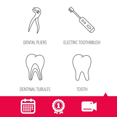 Diş, elektrikli diş fırçası ve pense simgeler.