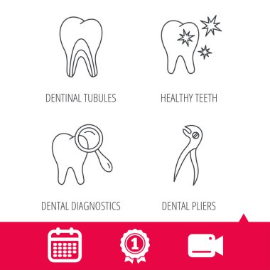 Sağlıklı dişler, dentinal tübüllerin ve pense simgeler.