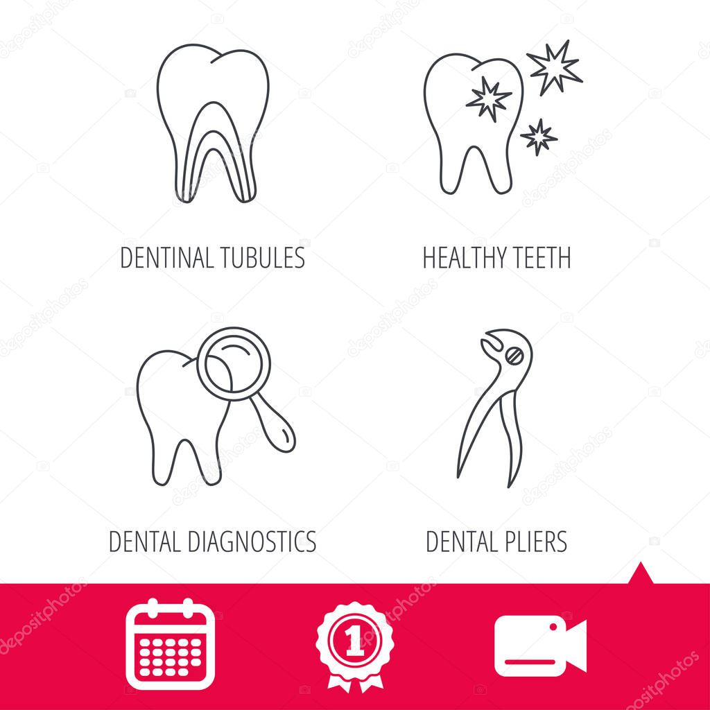 Achievement and video cam signs. Healthy teeth, dentinal tubules and pliers icons. Dental diagnostics linear sign. Calendar icon. Vector