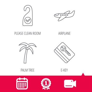 Palmiye ağacı, hava uçak ve e-anahtar simgeleri.