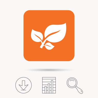 Yaprak simgesi. Taze organik ürün işareti.