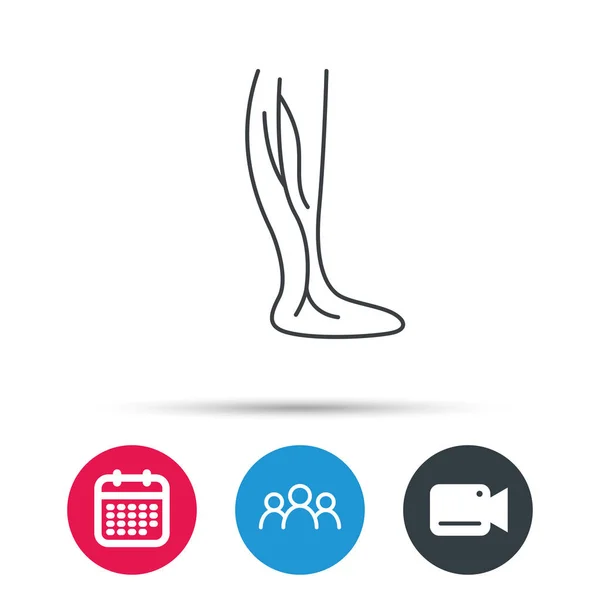 Phlebology icon. Leg veins sign. — Stock Vector