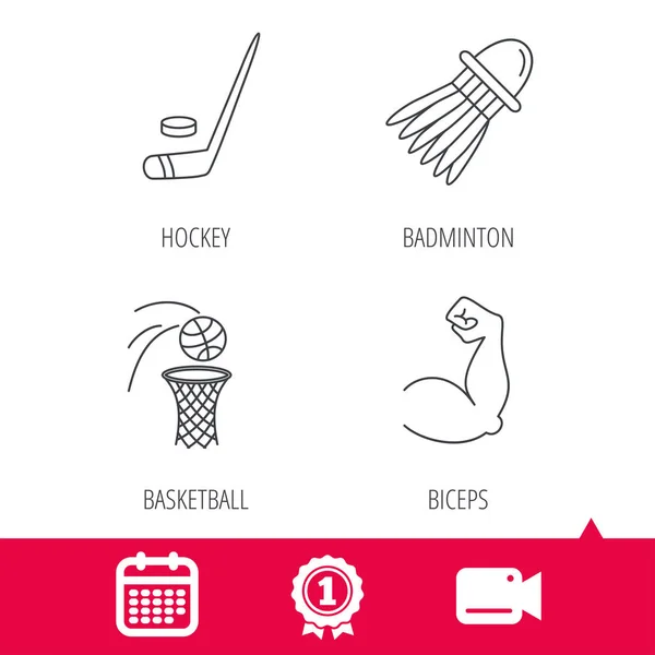 Iconos de hockey sobre hielo, baloncesto y bádminton . — Vector de stock