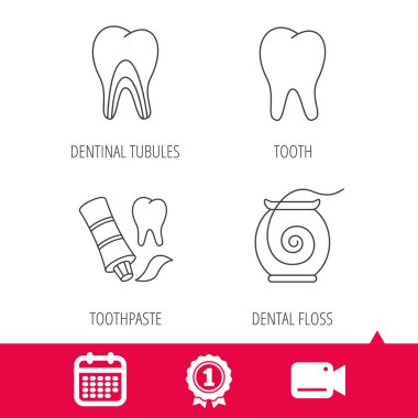 Diş, dentinal tübüllerin ve diş ipi simgeler.