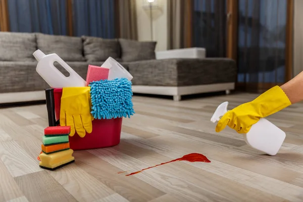 Cleaning service. Sponges, chemicals and plunger.