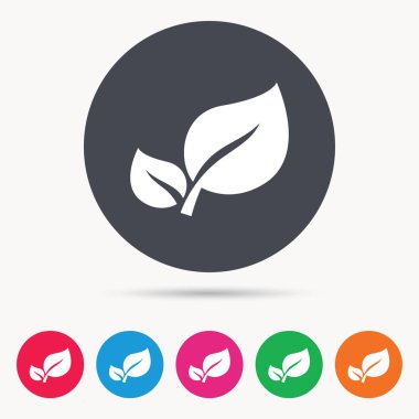 Yaprak simgesi. Taze organik ürün işareti.