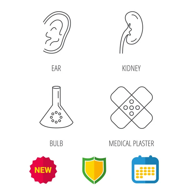 Lab lamp, medische gips en oor pictogrammen. — Stockvector