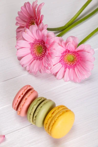 Gâteaux Macaron aux fleurs roses Gerbera . — Photo