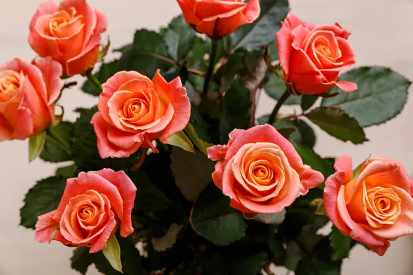 Růžové růže pozadí. Kytice čerstvých květin. — Stock fotografie