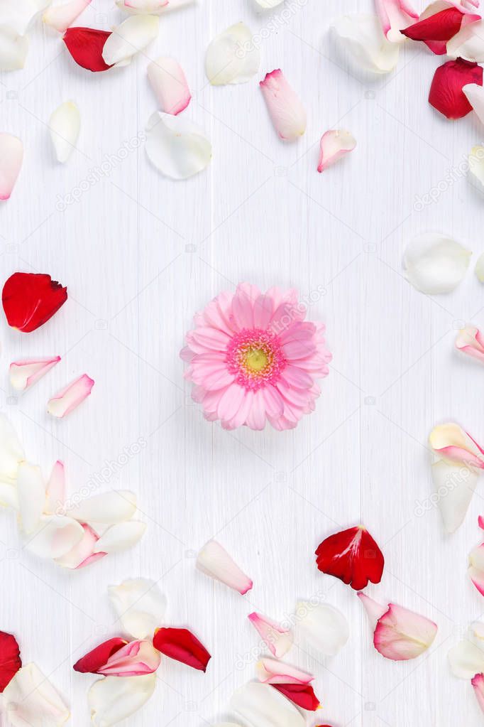 Petals of roses on white wooden background.