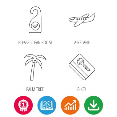 Palmiye ağacı, hava uçak ve e-anahtar simgeleri.