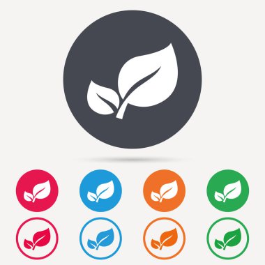 Yaprak simgesi. Taze organik ürün işareti.